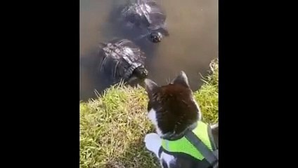 If you laugh you restart   Part 33