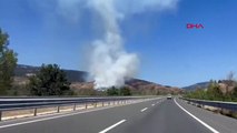 Çankırı Ilgaz'da Orman Yangını
