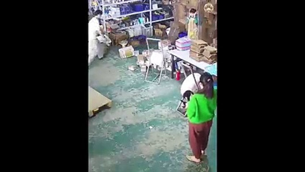 New Funny Animals  Funniest Cats and Dogs Videos  (2)