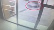 Bakırköy'deki dehşete düşüren pitbull saldırısının güvenlik kamerası görüntüleri ortaya çıktı