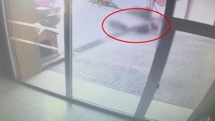 Bakırköy'deki dehşete düşüren pitbull saldırısının güvenlik kamerası görüntüleri ortaya çıktı