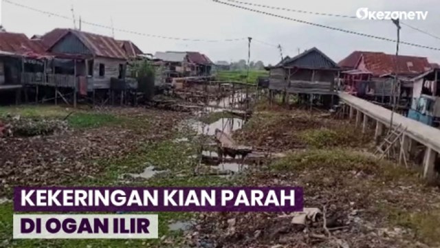 Musim Kemarau! Warga Ogan Ilir Manfaatkan Air Kubangan untuk Mandi