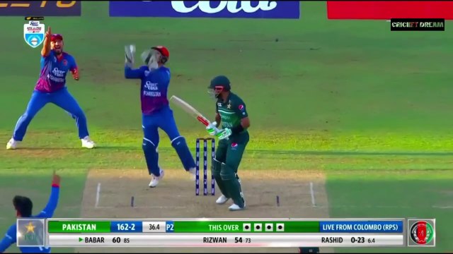 3rd ODI | Full Highlights Pakistan vs Afghanistan 3rd Odi Match Highlights _ PAK vs AFG 3rd Highlights