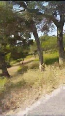 26 août 2023 - Les Crêtes