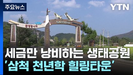 수백억 들였는데 수익은 '0원'...세금 먹는 '삼척 천년학 힐링타운' / YTN