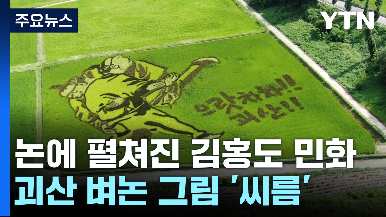 가을 논에 펼쳐진 김홍도 민화...괴산 벼논 그림 / YTN