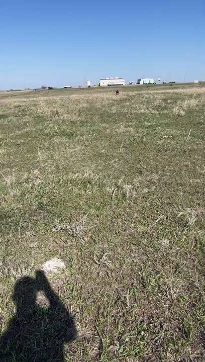Pointer Doing Pointer Things