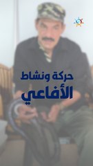 كيف أميز الأفعى السامة عن الأفعى غير السامة من خلال نشاطها؟
