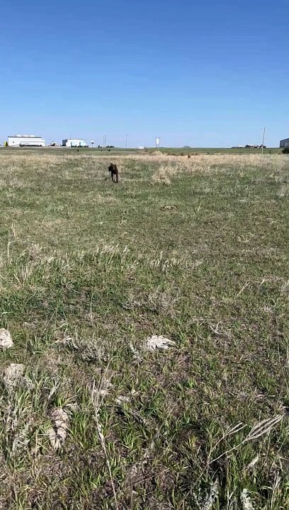 Pointer Doing Pointer Things