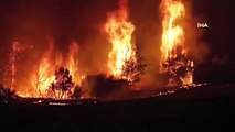 Uzm Dr. Ahmet Karabacak: Orman yangınları hava kirliliğini artırıyor