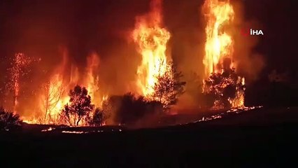 Dr. Ahmet Karabacak : Les incendies de forêt augmentent la pollution de l'air