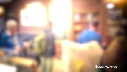 Biggest hunt for Nessie in decades underway in Scotland