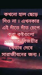 হাল ছেড়ে দিও না ।