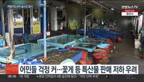 서해 방사능 실시간 측정…충남, 원전 오염수 감시 강화