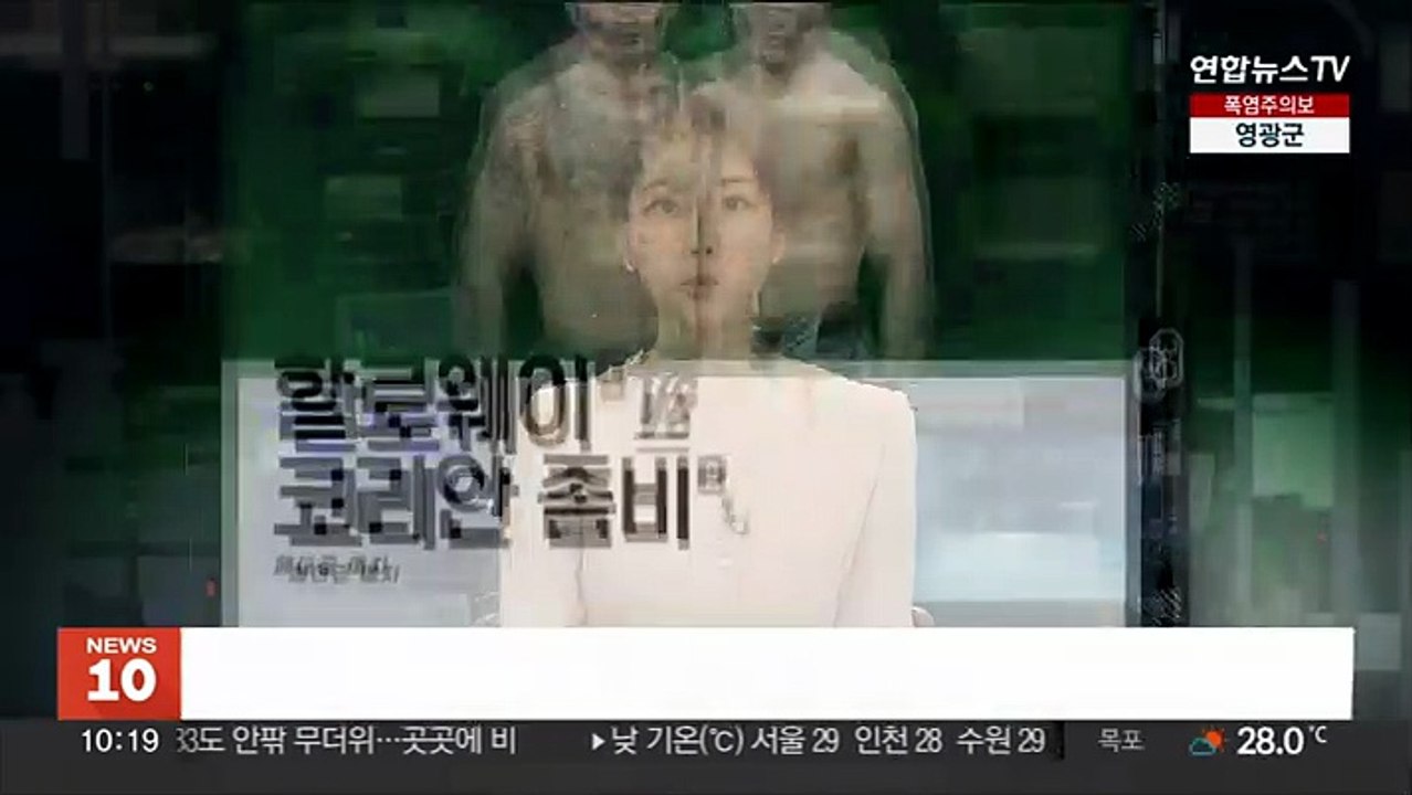 '코리안 좀비' 정찬성, 홀러웨이에 KO패 후 현역은퇴