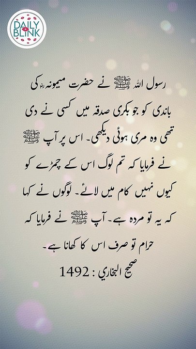 Daily Hadees | Hadees Sharif | Sahih Bukhari 1492 || Daily Blink #shorts #viral #sahihbukhari