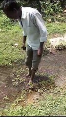 Wine was being made in the drain