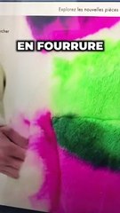 COMBIEN ÇA COUTE D'ÊTRE HABILLÉ EN LOUIS VUITTON DE LA TETE AU PIEDS ????