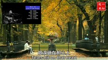 中文國語金曲   Chinese Mandarin Golden Songs 草木一生 Life Is Like Grass | 演唱/填詞/作曲 singer/lyricist/composer：李建儐 Li Jianbin | 中英文歌詞 Chinese-English subtitles