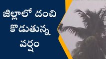 కోనసీమ జిల్లా: ఒక్కసారిగా మారిన వాతావరణం... దంచి కొడుతున్న వర్షం