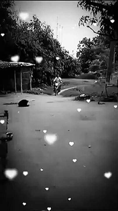 VID-20230827-WA0000