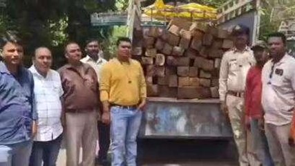 सीहोर: बेखौफ तस्कर, वन विभाग ने 62 नग सागौन की सिल्लियां की जप्त- देखें खबर