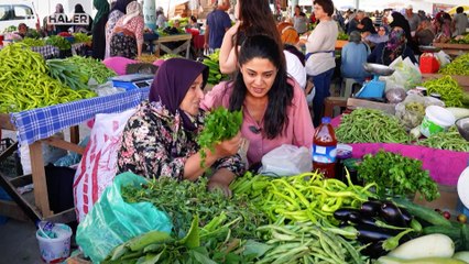 Yakın Rotalar: Cide