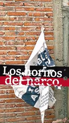 Hornos del Narco en Jalisco 🔥