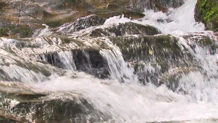 물놀이하며 막바지 피서..."여름아, 잘 가" / YTN