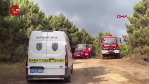 Maltepe'deki orman yangınında hasarın boyutu gün ağarınca ortaya çıktı