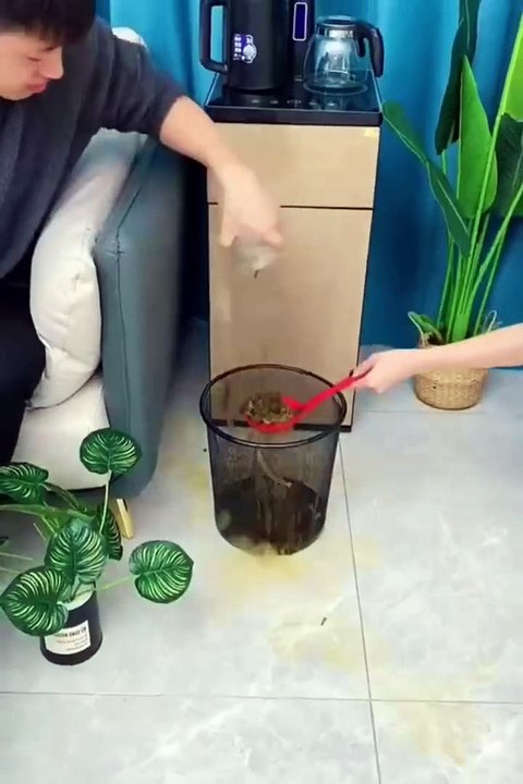 Smart gadget