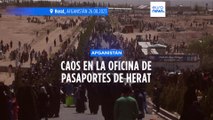 Afganistán | Miles de personas acuden en masa a la oficina de pasaportes de Herat