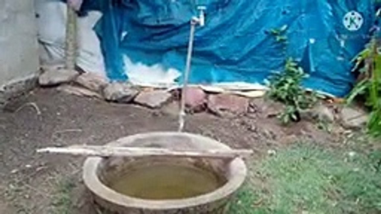 SaveTube.io-#village #tree #nature #water #garalu #watermelon #vlog #travel #vacation #journey #palaturu-(144p)