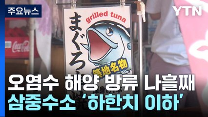 삼중수소 '하한치 이하' 유지...우리 측 전문가 3명 파견 / YTN