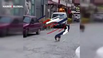 Cesur kedi boyundan büyük 3 köpeğe kafa tutup sokaktan geçirmedi
