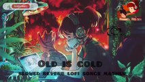Old is gold --Slowed reverb lofi songs mashup --