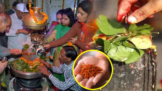 Sawan Akhri Somwar 2023: सावन आखिरी सोमवार के दिन जरूर करें ये उपाय | Sawan Akhri Somwar 2023 Upay |