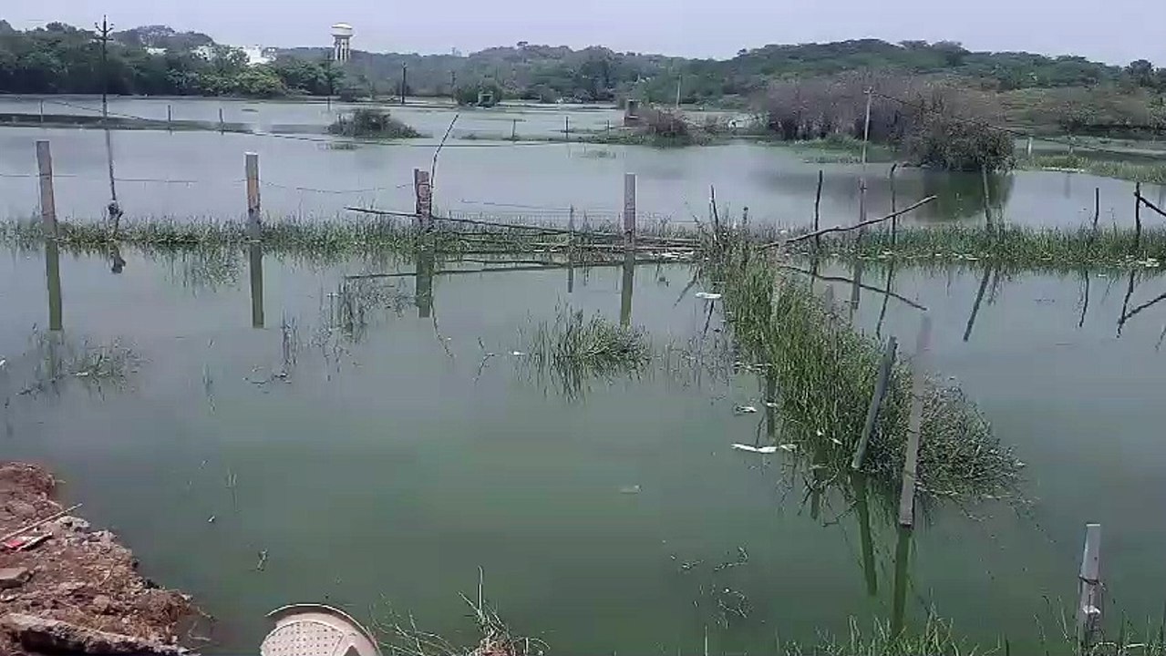 Kishangarh - खेतों में फसलें चौपट, घरों की नींव...