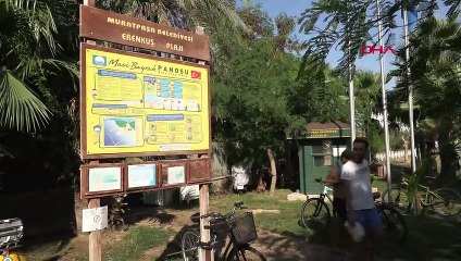 La municipalité de Muratpaşa organise un événement de gymnastique aquatique en mer