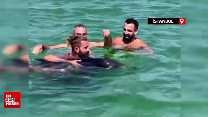 Menekşe Sahili’nde kıyıya vuran yunus kurtarıldı