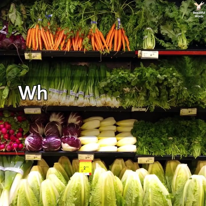 Food to eat for Healthy Kidneys