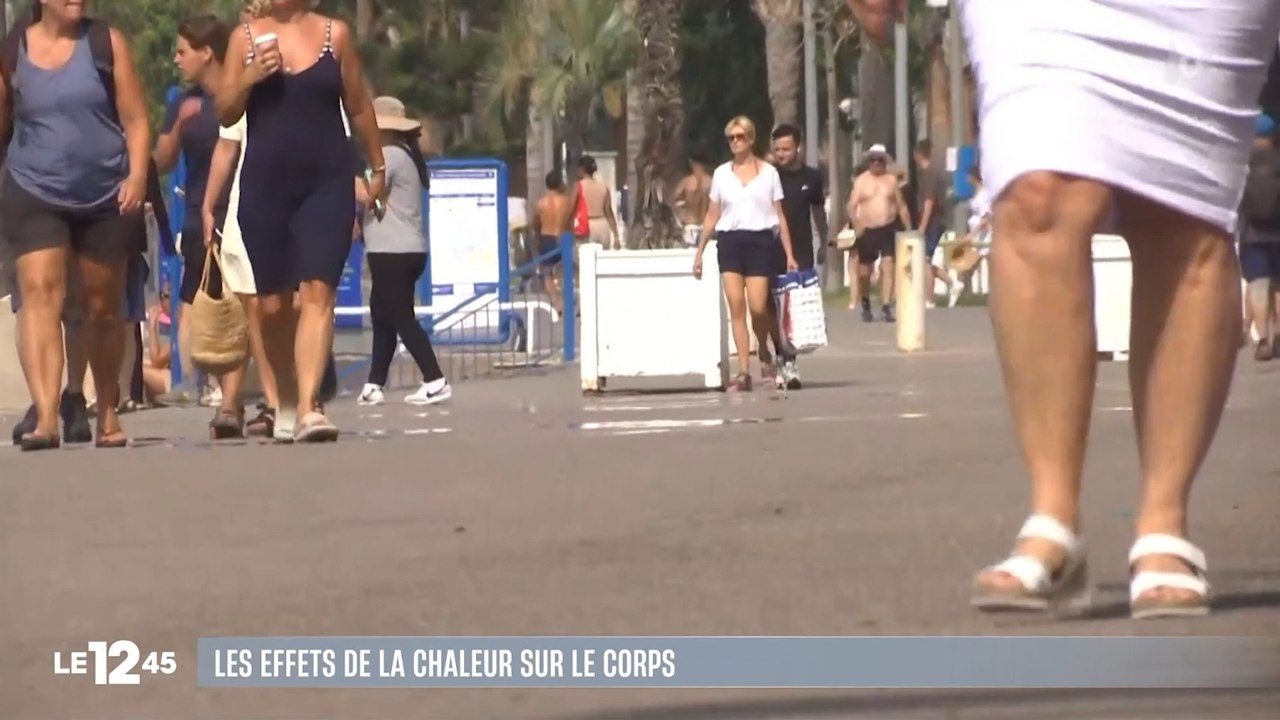 [Zap Tele] Les effets de la chaleur sur le corps (19/07/2023)