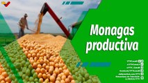 Cultivando Patria | Monagas estado productor de soya y maíz