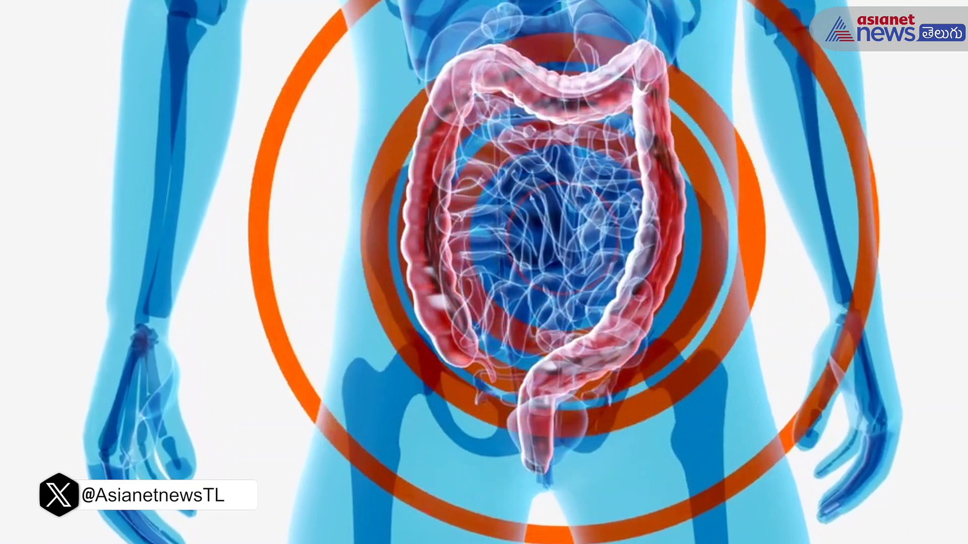 మలబద్దకం తో నరకం అనుభవిస్తున్నారా..? ఓట్ మీల్ తో మీ బాధలకు చెక్...