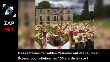 [Zap Net] Paris : un 14 juillet tranquilles devant le feu d'artifice (19/07/2023)