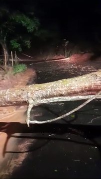 Tempestade causa estragos em Ponte Nova, Minas Gerais
