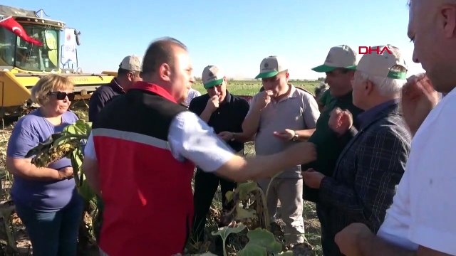 Augmentation du rendement de la production de confiseries à base de tournesol à Aksaray