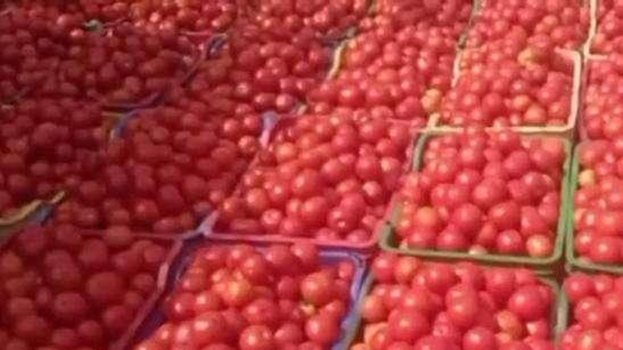 చిత్తూరు జిల్లా: హమయ్యా.. ఎన్నాళ్లకి ఇలా..!
