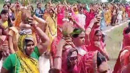 शाजापुर: हाउसिंग बोर्ड कॉलोनी से निकाली गई विशाल कलश यात्रा