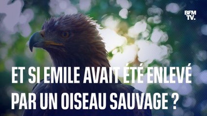 LIGNE ROUGE - Disparition d'Emile: la piste des animaux sauvages